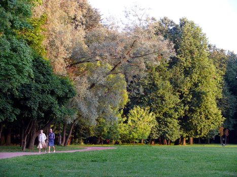 summer evening in the park