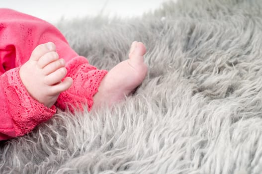 Shot of baby feet on the gray fur