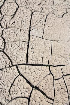 Detail of the cracked ground - dry season
