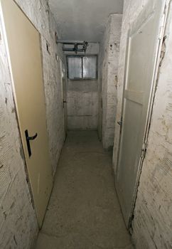 dark cellar photo, four wooden doors, 