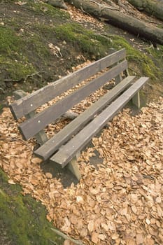 brown wooden bench in nature scenery, brown fallen leafs on ground