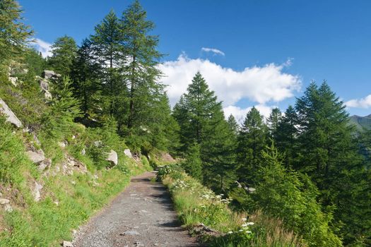 beautiful path in Italian Alps with mont Blanc on background
