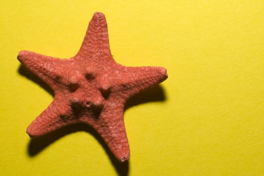 red five-finger star on yellow background