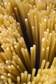 spaghetti detail photo, shallow depth of view