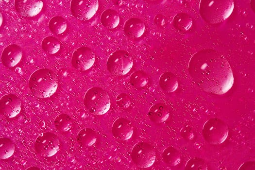 many drops of water on pink background