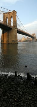 brooklyn bridge vertical panorama photo