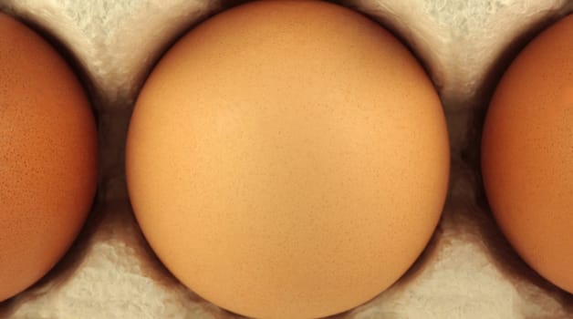 Close up of an egg on carton
