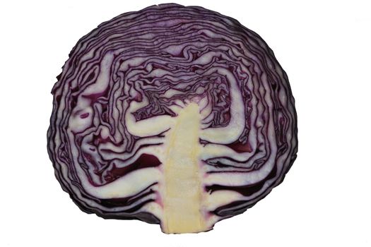 Red cabbage sliced in half