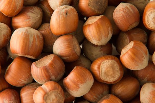 Close-up of hazelnuts in a bowl