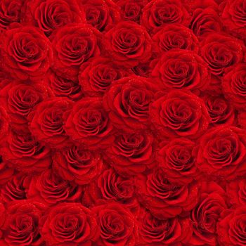 fresh red roses backgroud with water drops