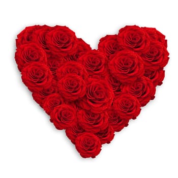 fresh red roses in heart shape over white