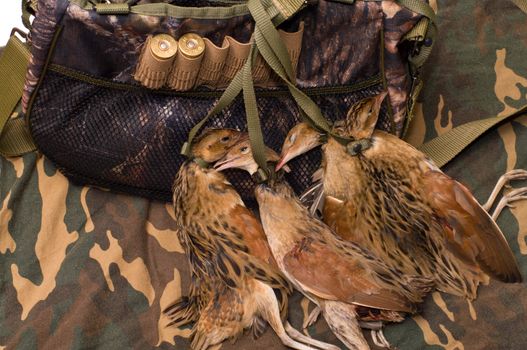 Game bag and corncrakes in camouflage cloth.