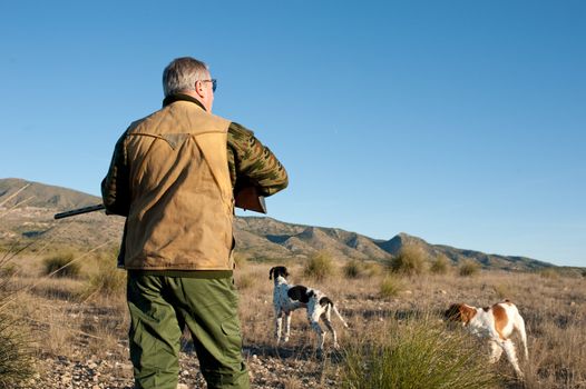 Hunter and dogs watching out for the prey