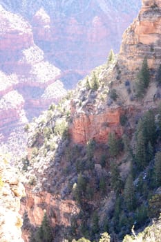 Grand Canyon mountainside
