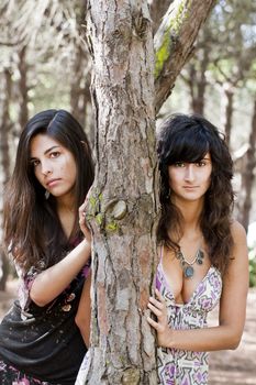 two lovely girls behind a pine tree.