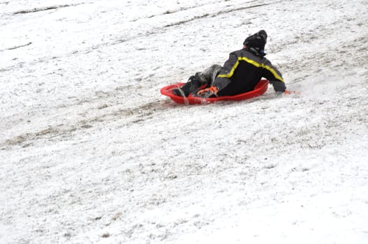 sledding at the top of the hill