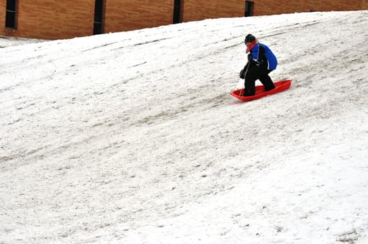 sledding at the top of the hill