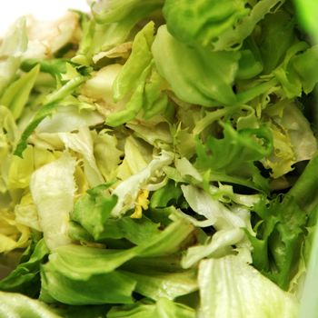 a green, fresh salad close-up - square
 