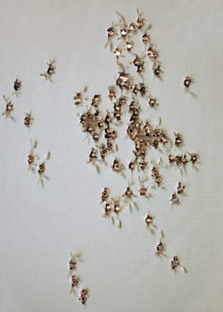 Old paper target with set of apertures from bullets