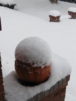 Photo from an early October snow in Denver, CO