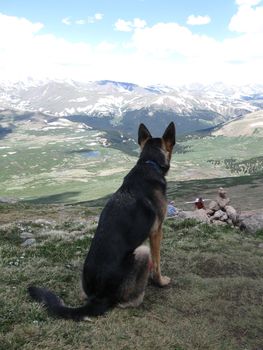 View from a Colorado Hike