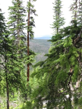 View from a Colorado Hike