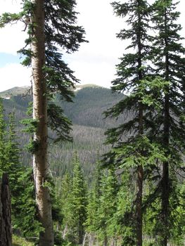 View from a Colorado Hike