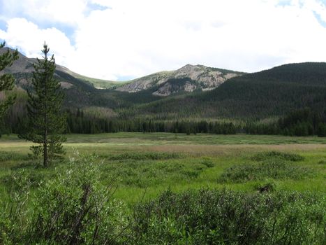 Meadow before the Devils Thumb hike in Colorado