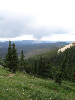 Rain in the distance