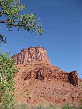 Red cliff in Moab, UT
