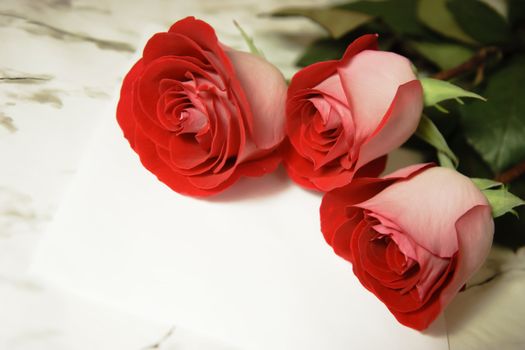 three red roses and a letter on the marble table
