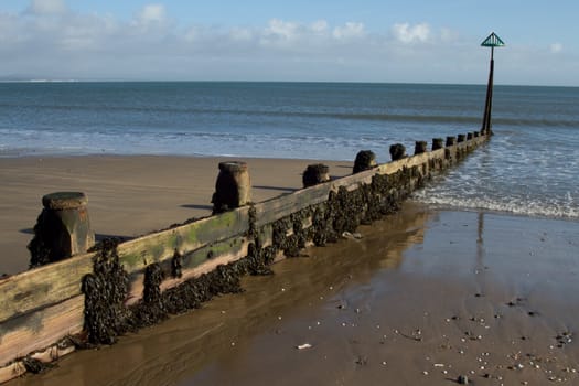 A wooden barrier, planks and posts, with seaweed extends to the sea and has a green maritime warning marker.