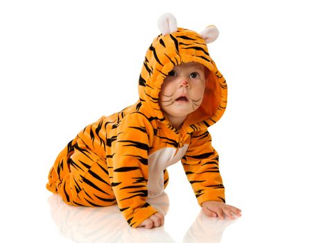 Six month baby wearing tiger suit sitting isolated on white