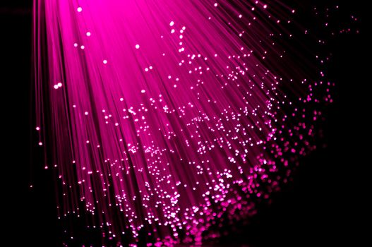 Close up on ends of many illuminated vibrant pink fibre optic strands against black.