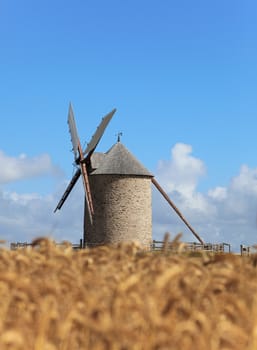 Windmill in a wheat field.Selective focus on the windmill.This is "Le Moulin de Moidrey" located in the vicinity of Mount Saint Michel Monastery in France.