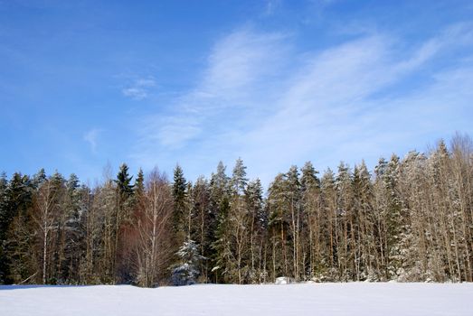 A landscape with blue sky, forest and field with winter snow. Suitable for backgrounds, space for text. Photographed in Finland, February 2011.