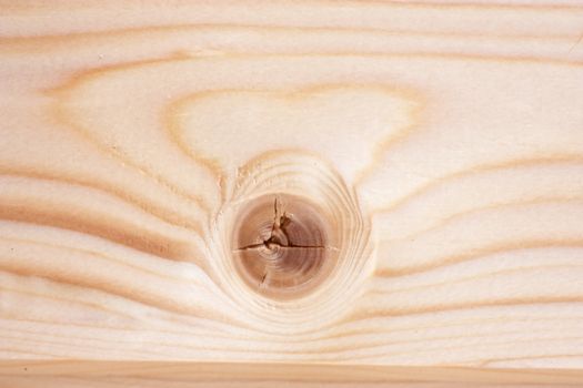 Macro view of wood knot