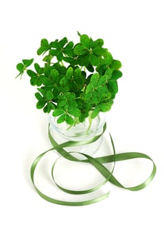 bouquet of false shamrock (oxalis) with green ribbon in glass on white background