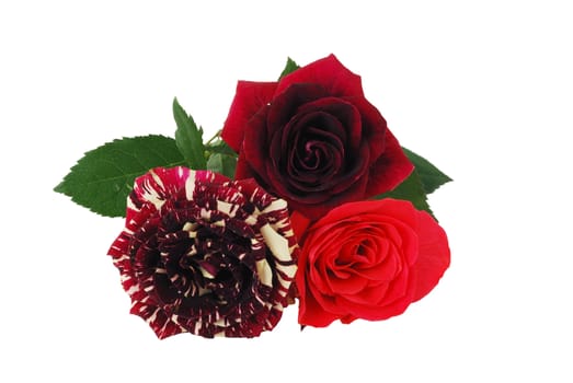 Valentine day bouquet - tree different red tint roses isolated on white background