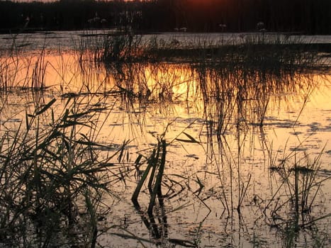 Reflection of the sundown on surfaces of the pond