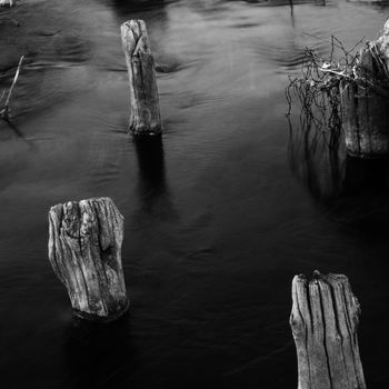 ruin of anwooden river dock in black and white