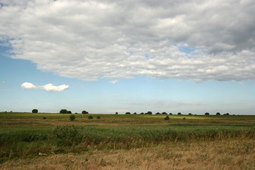 cloudy field