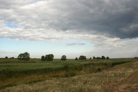 cloudy field