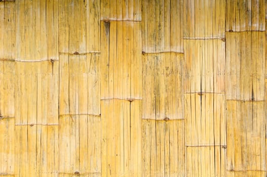 Bamboo Texture