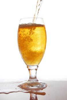 glass of fresh beer with bubbles on white