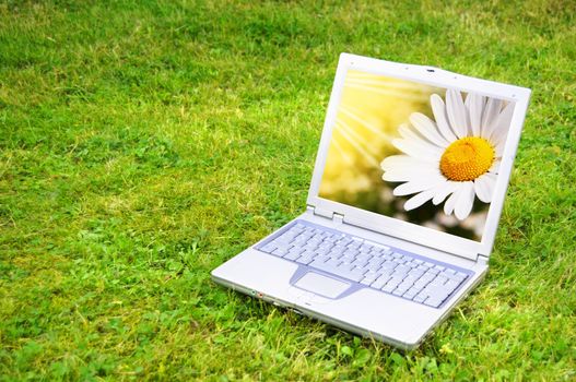 flowers and laptop or notebook on green grass with copyspace