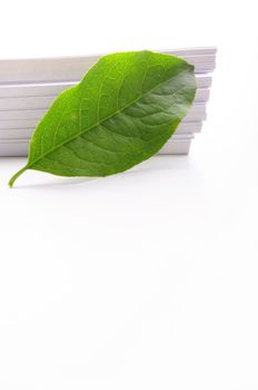 empty sheet of paper and green leaf for note