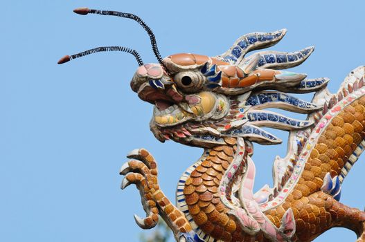 The dragon on the roof top, vietnam