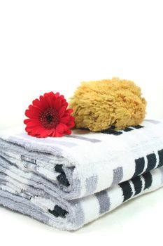 Wellness - brush, flowers and towels - Personal Care