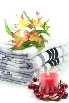 Wellness - brush, flowers and towels - Personal Care